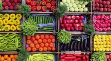 تباين أسعار الخضراوات والفاكهة في سوق العبور للجملة يوم 3 نوفمبر 2025 وتأثيرها على السوق المحلي